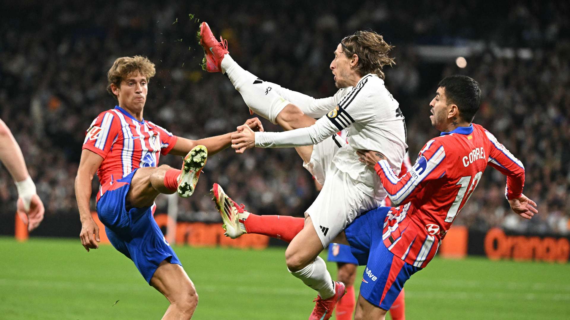 供了一个重 供了一个重